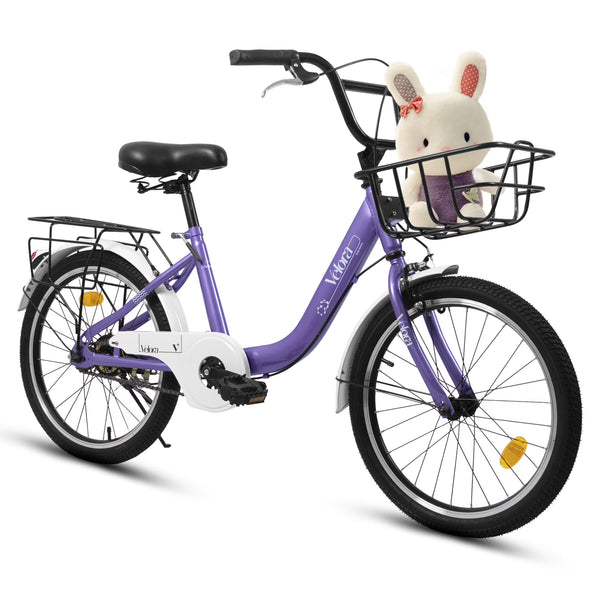 20 in Kids Bike for Boys Girls, 1 Speed Children Bicycle with Basket, Rear Seat, Chain Guard, Coaster Brake and V - Brake, Steel Frame Kids Bike for